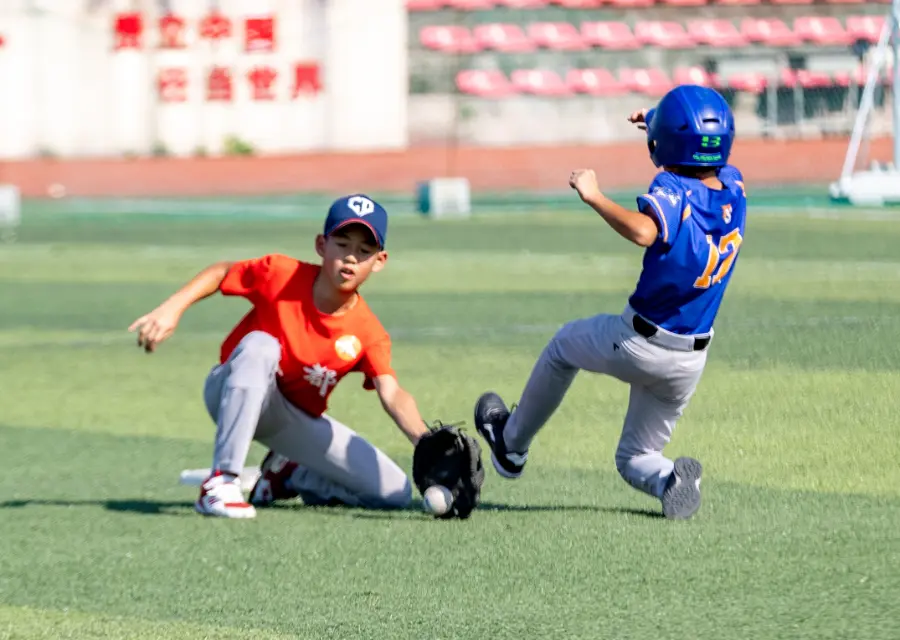 alt, msn, 来自金牛区