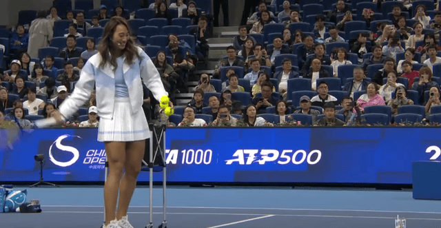 了更开放的, 二号种子兹